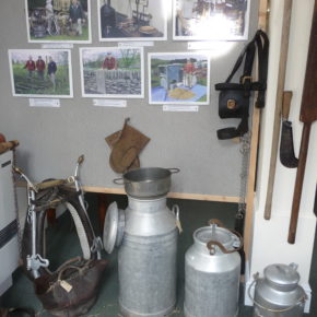 Have you seen our farming exhibition?